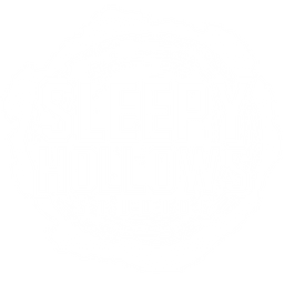 Sleepy Hollows Studios